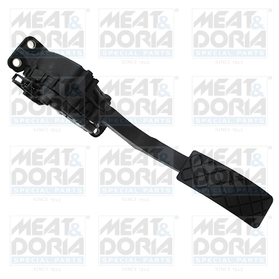 Accelerator Pedal Unit